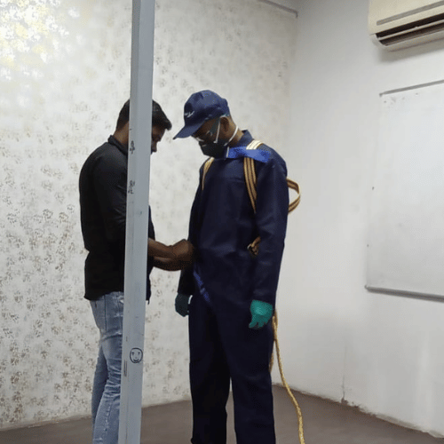 Untitled design - 2025-11-10T132021.455